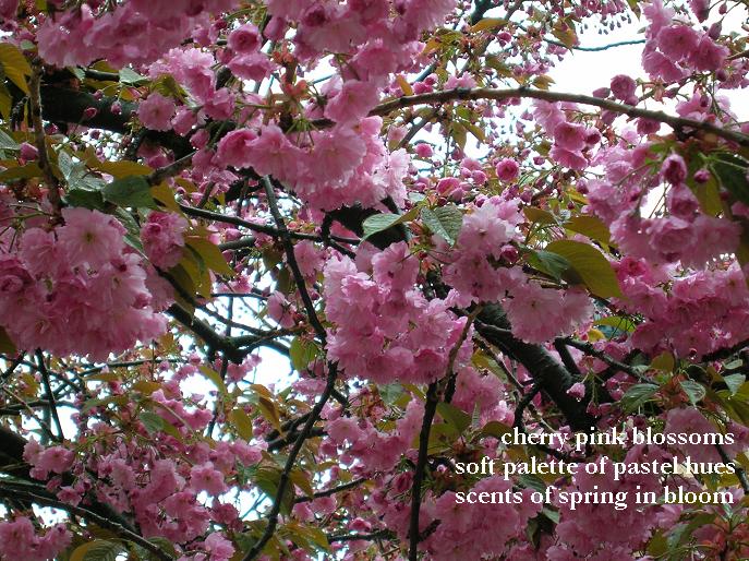 Haiku+poems+about+spring