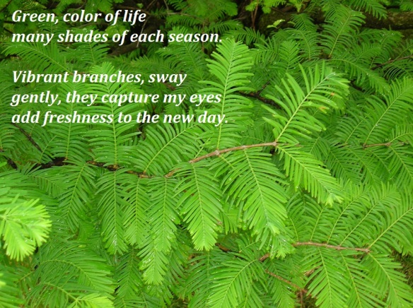 haiku poems about nature. Posted in Haiku Reflections