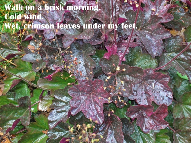 wet crimson leaves