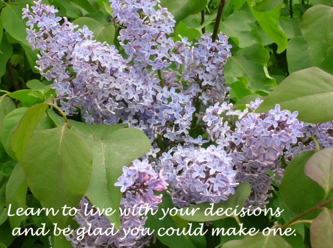 lilacs and quote